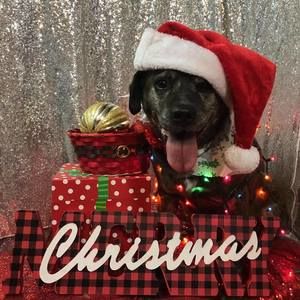 Meet your Posher, Deb